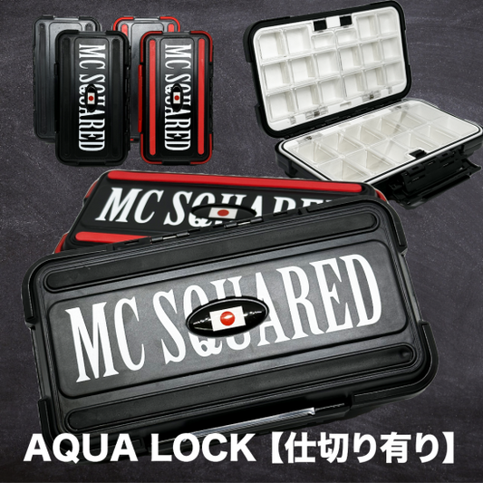 Aqua Lock box (with divider)