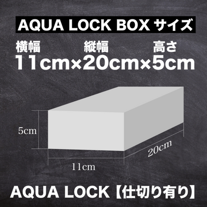 Aqua Lock box (with divider)