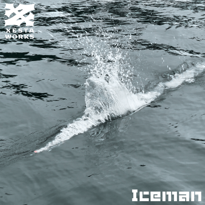 Iceman 265mm 123g